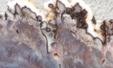 Green Angel Wing Slab 82