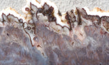 Green Angel Wing Slab 82