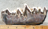 Green Angel Wing Slab 83