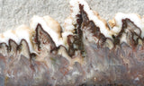 Green Angel Wing Slab 83