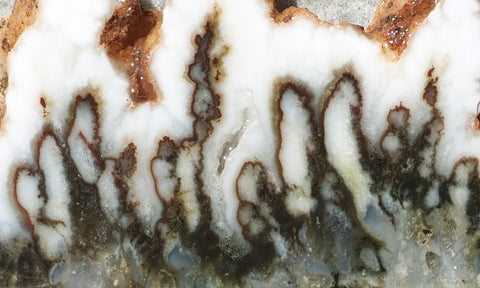 Green Angel Wing Slab 88
