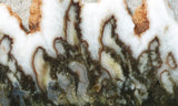 Green Angel Wing Slab 88
