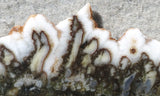 Green Angel Wing Slab 69