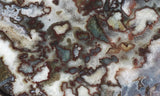 Green Angel Wing Slab 95