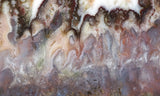Green Angel Wing Slab 65