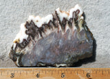 Green Angel Wing Slab 94