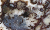 Green Angel Wing Slab 76