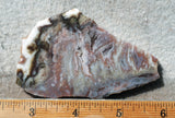 Green Angel Wing Slab 73