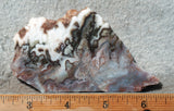 Green Angel Wing Slab 97