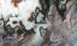 Green Angel Wing Slab 97