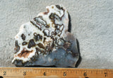 Green Angel Wing Slab 77