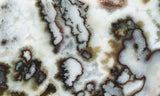 Green Angel Wing Slab 77