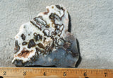 Green Angel Wing Slab 77