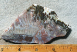 Green Angel Wing Slab 98