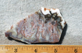 Green Angel Wing Slab 72