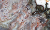 Green Angel Wing Slab 72
