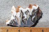 Green Angel Wing Slab 75