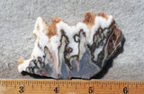 Green Angel Wing Slab 75