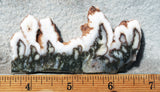 Green Angel Wing Slab 78