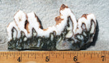 Green Angel Wing Slab 78