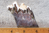 Green Angel Wing Slab 99