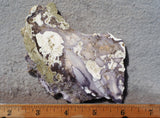 Burro Creek Agate Rock Slab 78
