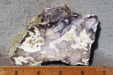 Burro Creek Agate Rock Slab 81
