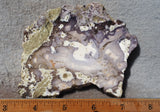 Burro Creek Agate Rock Slab 89