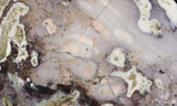 Burro Creek Agate Rock Slab 83