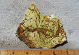 Green Dream Rock Slab 75