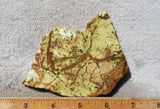 Green Dream Rock Slab 40