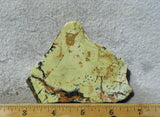 Green Dream Rock Slab 78