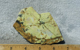 Green Dream Rock Slab 72