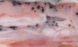 Peruvian Pink Opal Slab 246