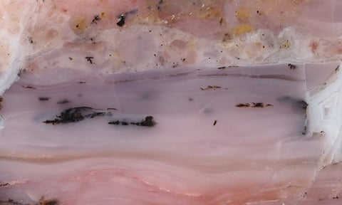 Bargain Bin E Slab 142