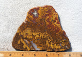 Moroccan Agate Rock Slab 355