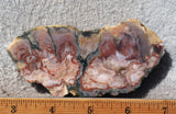 Moroccan Agate Rock Slab 363