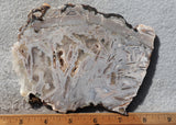 Moroccan Stick Agate Slab 298