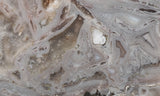 Bargain Bin E Slab 144