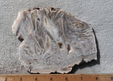 Moroccan Stick Agate Slab 299