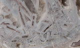 Moroccan Stick Agate Slab 299