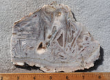 Moroccan Stick Agate Slab 292
