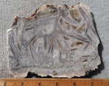 Moroccan Stick Agate Slab 293