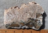 Moroccan Stick Agate Slab 286