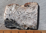 Moroccan Stick Agate Slab 281