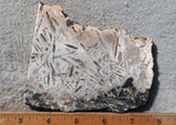 Moroccan Stick Agate Slab 282