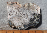 Moroccan Stick Agate Slab 287