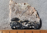 Moroccan Stick Agate Slab 296