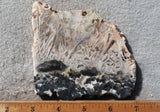 Moroccan Stick Agate Slab 296