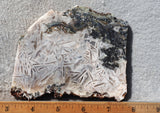 Moroccan Stick Agate Slab 288
